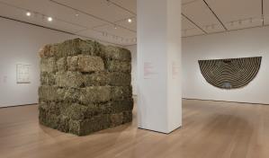 El arte latinoamericano llega al MoMA con importante colecci&oacute;n de Patricia Phelps de Cisneros