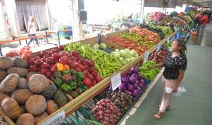 Costo de la canasta nacional cerraría 2023 sobre los RD$44,500