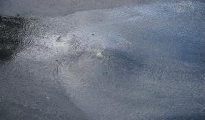 Por fuga de agua en barrio Savica de Los Alcarrizos se desperdician cientos de galones del líquido