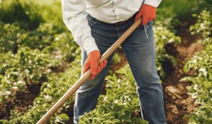 El fondo para una agricultura sostenible alcanza US$13,000 millones