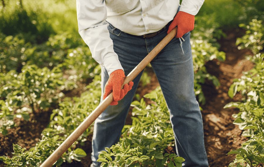 El fondo para una agricultura sostenible alcanza US$13,000 millones