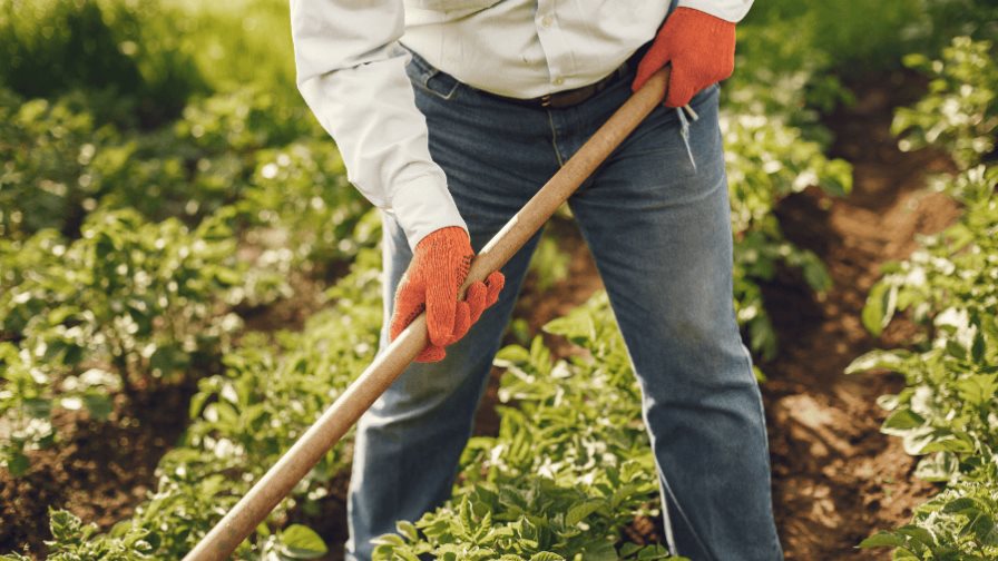 El fondo para una agricultura sostenible alcanza US$13,000 millones El fondo para una agricultura sostenible alcanza US$13,000 millones