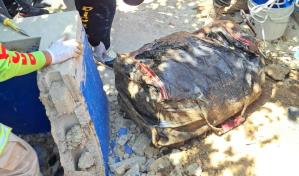 Encuentran enterrado dentro de una maleta el cuerpo de un hombre que estaba desaparecido