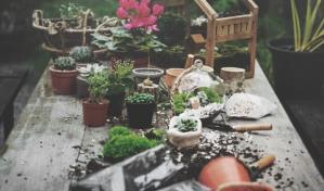 Ideas para crear un jard&iacute;n de hierbas arom&aacute;ticas en casa
