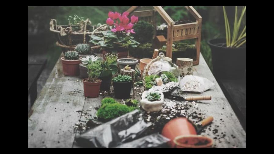 Ideas para crear un jardín de hierbas aromáticas en casa