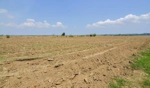 Destacan avances de los trabajos de rehabilitación en el proyecto La Cruz de Manzanillo 