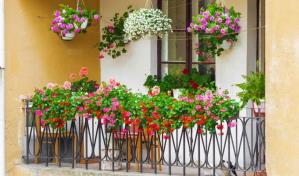 Así puedes decorar un balcón con plantas