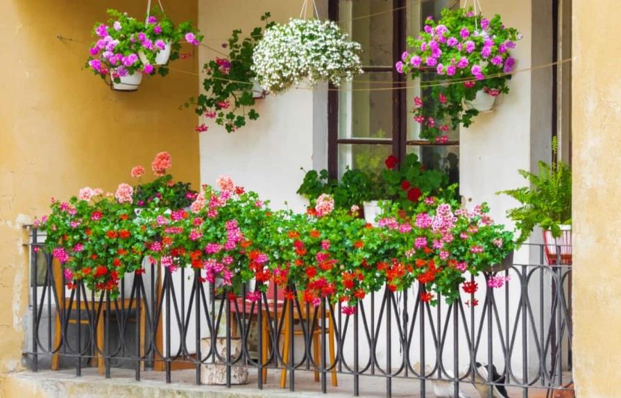 Así puedes decorar un balcón con plantas