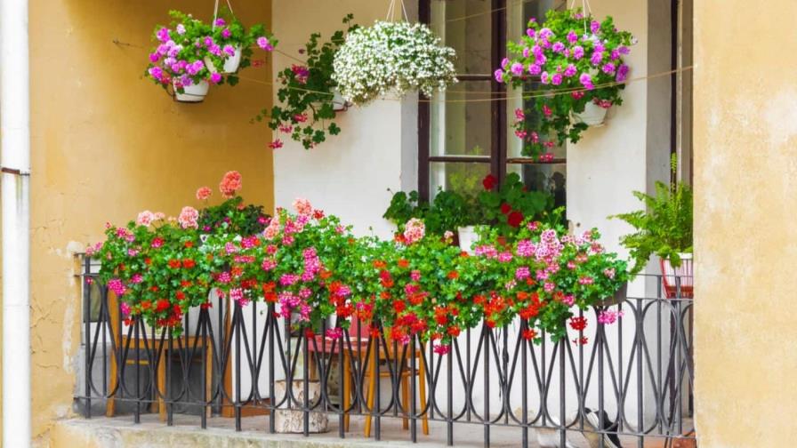 Así puedes decorar un balcón con plantas Así puedes decorar un balcón con plantas