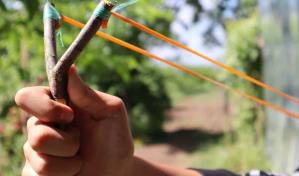 Con un tirapiedras, niño de 13 años impide el secuestro de su hermana en EE.UU.