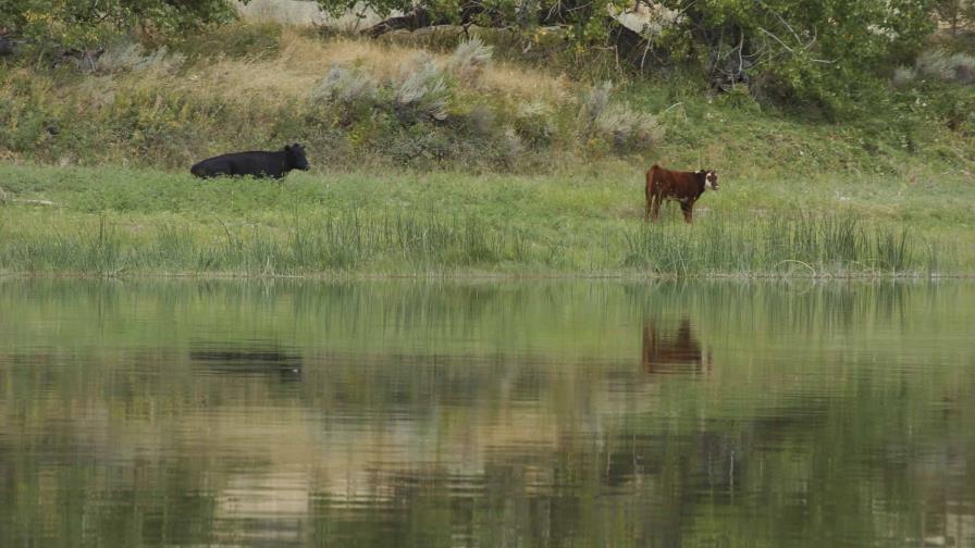 Plan de Biden plantea arrendar tierras federales para su conservación