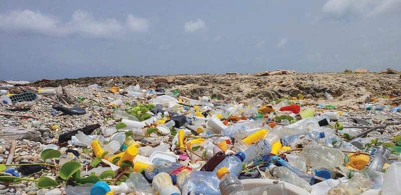 Pronto tendremos botellas de plástico 100 % recicladas