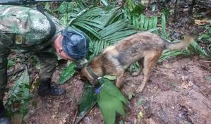 Petro da marcha atr&aacute;s y admite que sigue b&uacute;squeda de cuatro ni&ntilde;os de accidente de avi&oacute;n