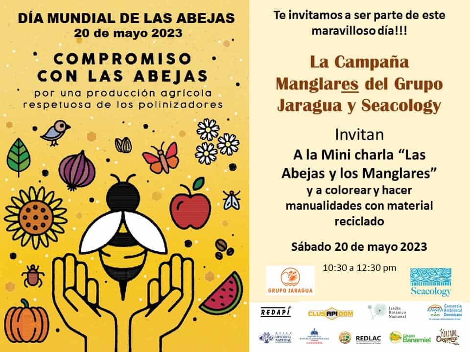 Actividades por el Día Mundial de las Abejas. 