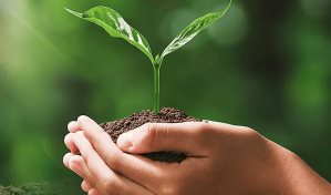 Anuncian prórroga para someter proyectos al Premio Periodismo Ambiental