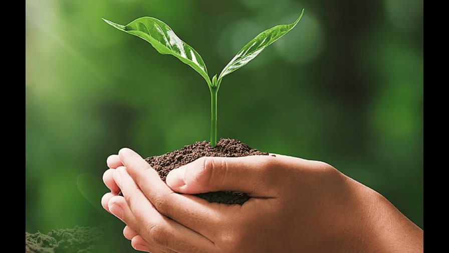 Anuncian prórroga para someter proyectos al Premio Periodismo Ambiental Anuncian prórroga para someter proyectos al Premio Periodismo Ambiental
