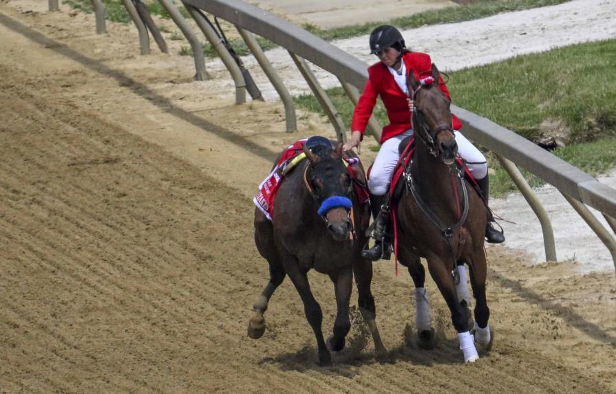 Un caballo sacrificado y un jinete hospitalizado antes de la carrera de Preakness