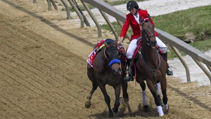 Un caballo sacrificado y un jinete hospitalizado antes de la carrera de Preakness