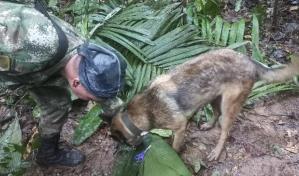 Colombia sigue en vilo la b&uacute;squeda de cuatro ni&ntilde;os desaparecidos en la selva