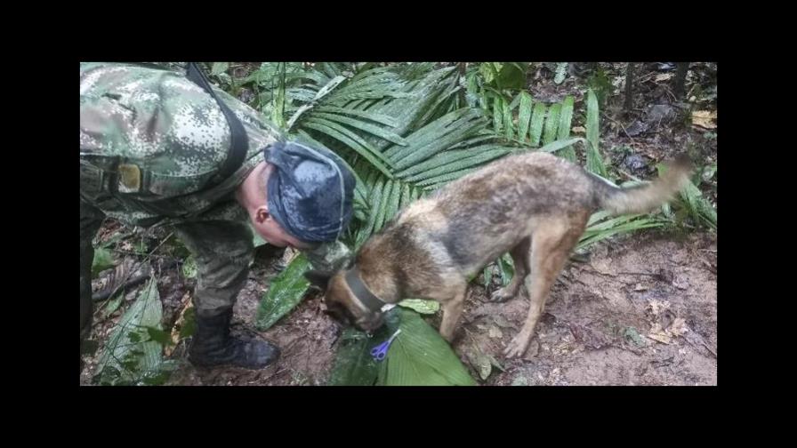 Colombia sigue en vilo la búsqueda de cuatro niños desaparecidos en la selva