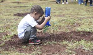 Realizan jornada anual de reforestaci&oacute;n en el Mirador Sur