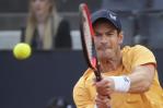 Andy Murray no disputará el Abierto de Francia Andy Murray no disputará el Abierto de Francia