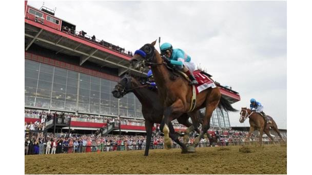 National Treasure gana Preakness, entrenado por Baffert, otro de cuyos caballos es sacrificado