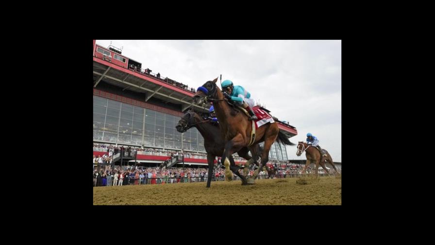 National Treasure gana Preakness, entrenado por Baffert, otro de cuyos caballos es sacrificado