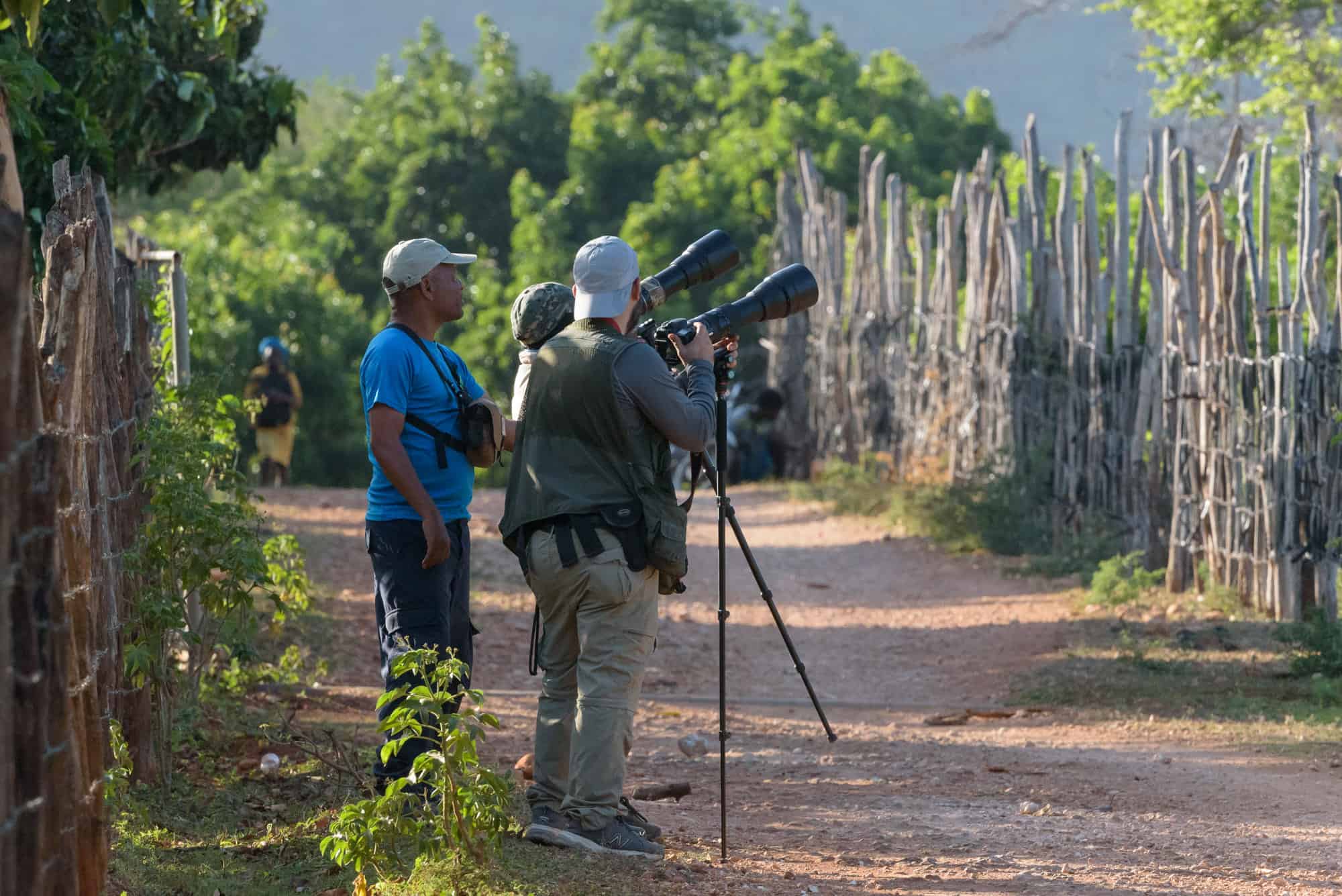 Concentrados en las fotografías del cuervo