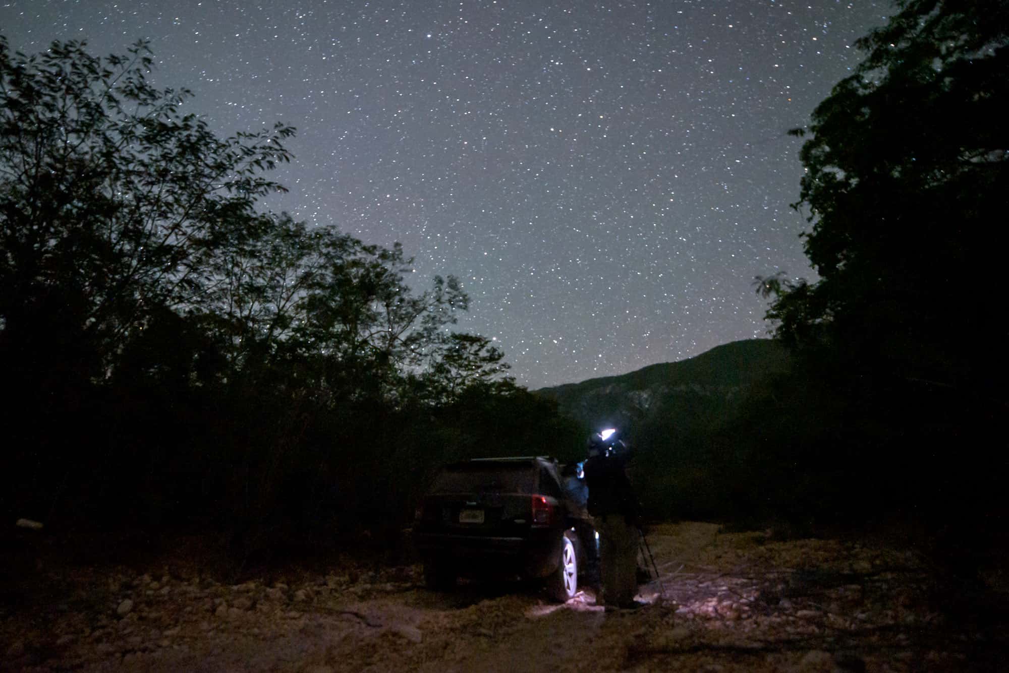 El grupo espera para ver las aves nocturnas pacientemente mientras el cielo estaba cubierto de un manto de estrellas.