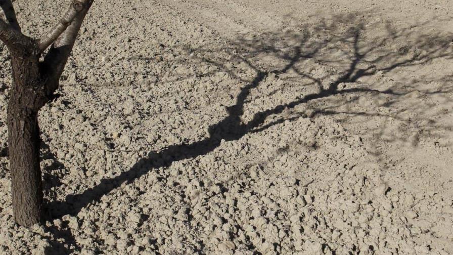 Desastres climáticos causaron pérdidas de 4,000 millones de dólares en los últimos 50 años