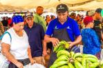 El Inespre venderá el cartón de huevos a RD$130 en feria agropecuaria El Inespre venderá el cartón de huevos a RD$130 en feria agropecuaria