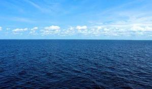Científicos de todo el mundo debaten sobre los problemas del ruido humano en el mar