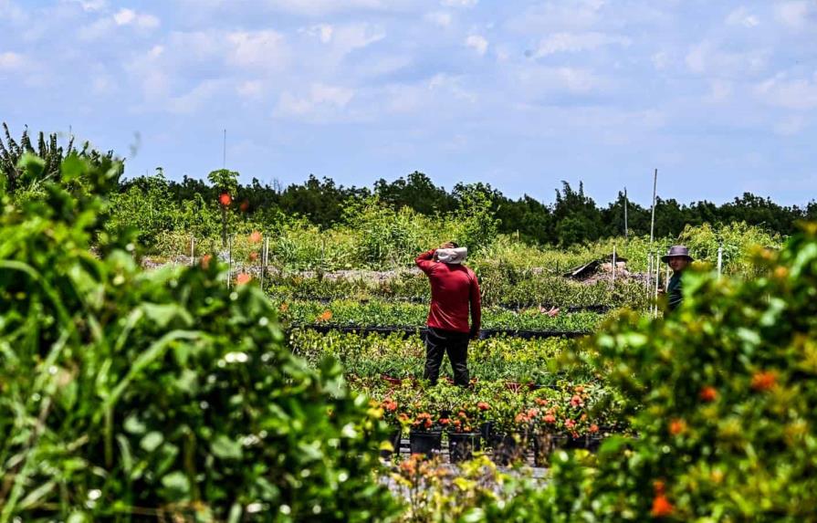 Una ley de Florida ensombrece el futuro de los trabajadores indocumentados