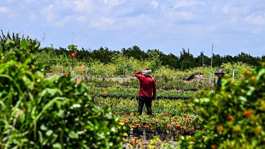 Una ley de Florida ensombrece el futuro de los trabajadores indocumentados