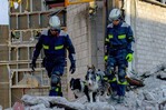Entrenamiento de perros de rescate cobra popularidad en México debido a terremotos