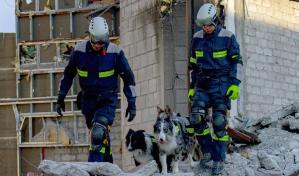 Entrenamiento de perros de rescate cobra popularidad en México debido a terremotos