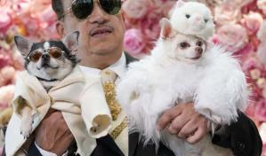 Mascotas lucen trajes de diseño en la Pet Gala