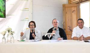 Plan Sierra informa sobre plantación de 2.3 millones de árboles durante 2022