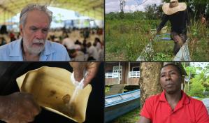 La insospechada crisis del negocio de la cocaína en Colombia