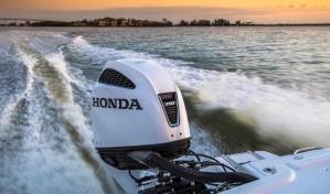 Matrimonio de Miami condenado por exportar 600 motores robados fuera de borda a México