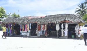 Entidades públicas y privadas fomentan la eliminación de plásticos en islas Saona y Catalina