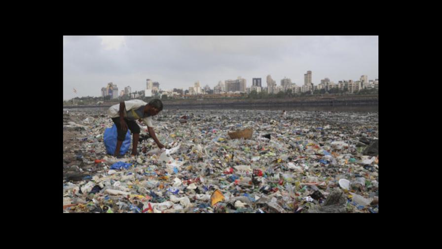 Reciclar el plástico será insuficiente para reducir la contaminación, indica experto de la ONU