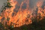 Miles obligados a evacuar por incendio forestal en el este de Canadá Miles obligados a evacuar por incendio forestal en el este de Canadá