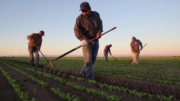 Inmigrantes mexicanos denuncian amplia red de “esclavos modernos” en Canadá