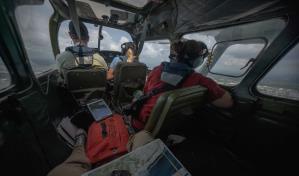 Realizan con éxito censo aéreo de manatíes en República Dominicana