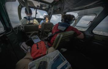 Realizan con éxito censo aéreo de manatíes en República Dominicana