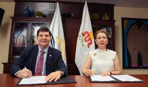 Sur Futuro y Fundación Rica fomentarán producción de coco en la región Sur