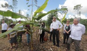 Sembrando Vida: el sueño infértil de López Obrador para Latinoamérica