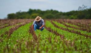 Proponen quitar excepciones para distribuir el 10 % de beneficios a empleados